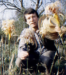 Stuart King with several of his gypsy flowers