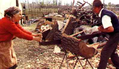 Sawing a log