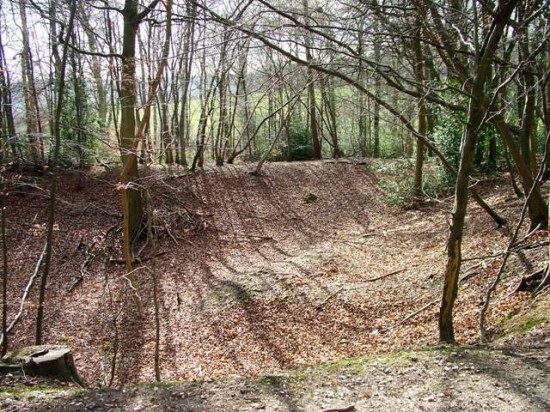 Dell -- Chilterns Woodland